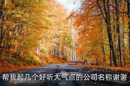 大氣的企業(yè)名稱，幫我起幾個好聽大氣點的公司名稱謝謝