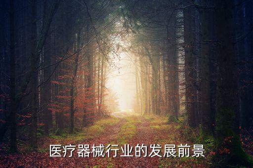未來醫(yī)療行業(yè)的發(fā)展前景，醫(yī)療器械行業(yè)的發(fā)展前景