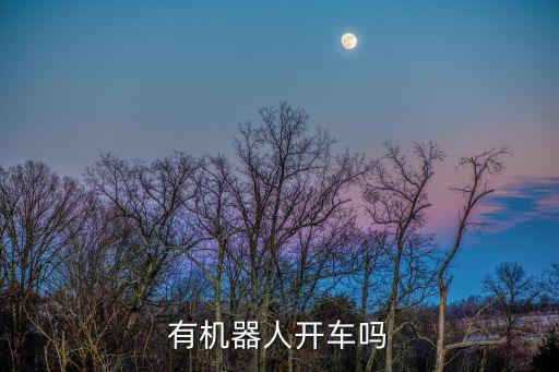 自動(dòng)駕駛智能駕駛還有機(jī)器人嗎，有無(wú)人駕駛汽車嗎