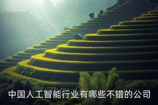 中國人工智能行業(yè)有哪些不錯的公司