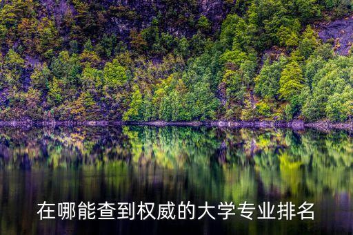 在哪能查到權(quán)威的大學(xué)專業(yè)排名