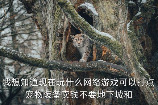 我想知道現(xiàn)在玩什么網(wǎng)絡(luò)游戲可以打點寵物裝備賣錢不要地下城和