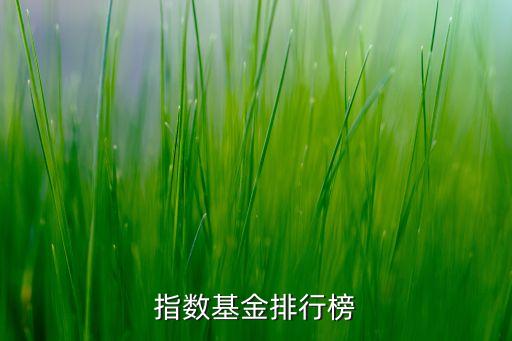 指數(shù)基金排行榜
