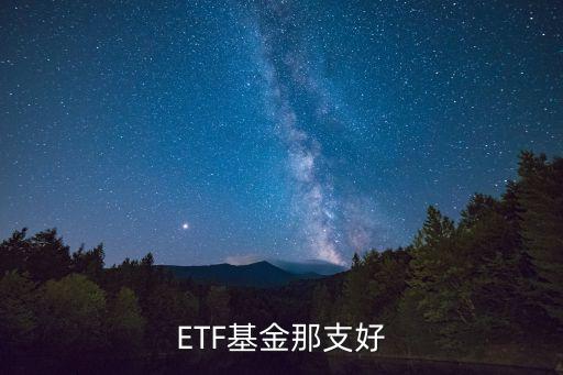 消費(fèi)etf哪個(gè)最好用，哪支ETF較好