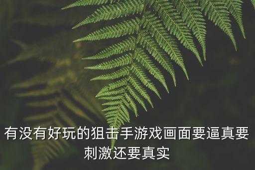 有沒有好玩的狙擊手游戲畫面要逼真要刺激還要真實(shí)