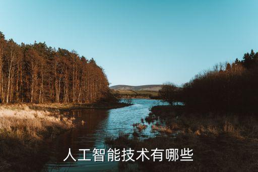 人工智能技術(shù)有哪些