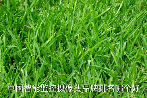 智能攝像頭排行榜，智能攝像頭十大知名牌子是什么