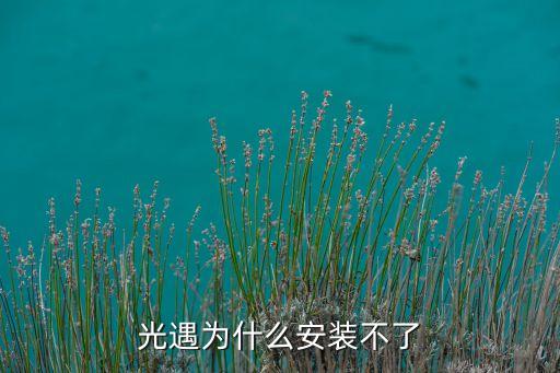光遇為什么安裝不了