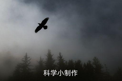 科學(xué)手工小制作大全作品，科學(xué)小制作