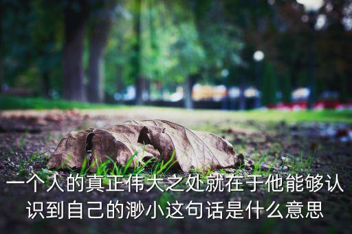 一個人的真正偉大之處就在于他能夠認(rèn)識到自己的渺小這句話是什么意思