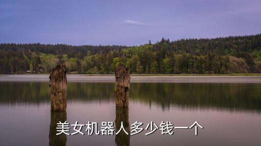 美女機(jī)器人多少錢一個(gè)