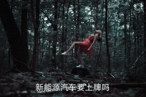 新能源代步汽車用上牌照么，新能源汽車要上牌嗎