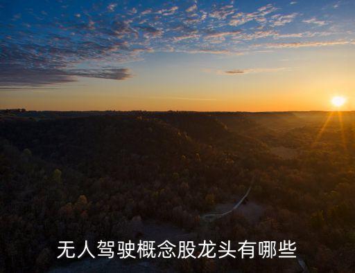 自動(dòng)駕駛龍頭概念股，無人駕駛概念股龍頭有哪些