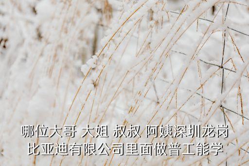 哪位大哥 大姐 叔叔 阿姨深圳龍崗比亞迪有限公司里面做普工能學(xué)