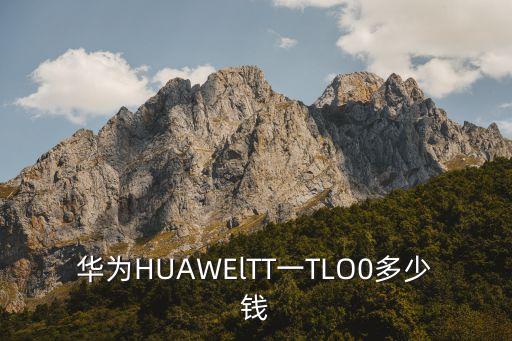 華為HUAWElTT一TLO0多少錢