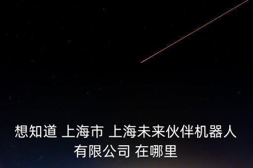 想知道 上海市 上海未來伙伴機(jī)器人有限公司 在哪里