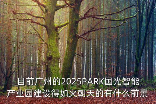 目前廣州的2025PARK國光智能產(chǎn)業(yè)園建設(shè)得如火朝天的有什么前景