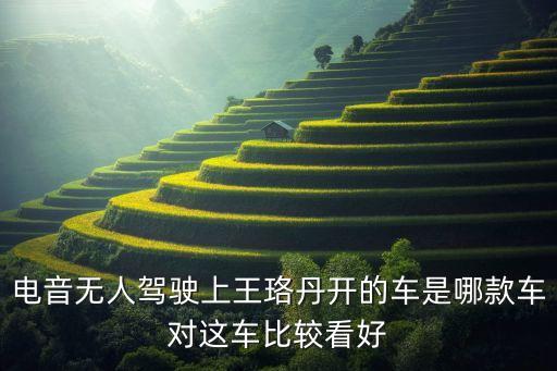 華為無人駕駛汽車價格圖片大全，無人駕駛汽車上市了嗎價格多少萬元個人能賣嗎