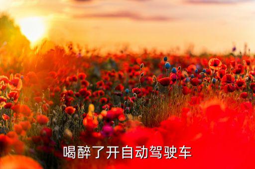 喝醉了開自動駕駛車