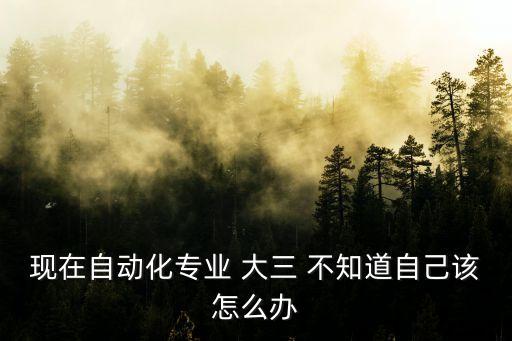 自動(dòng)化不想出差怎么辦，電氣自動(dòng)化專業(yè)剛畢業(yè) 想到自動(dòng)化公司 搞PLC研發(fā)或市場總之不