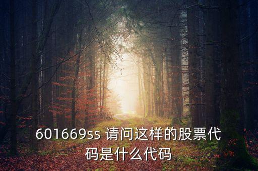 601669ss 請問這樣的股票代碼是什么代碼