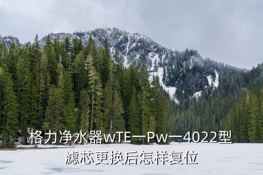 凈水器濾芯更換后怎么復(fù)位，R阿詩丹頓R101凈水器換完濾芯怎樣復(fù)位