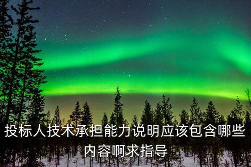 投標(biāo)人技術(shù)承擔(dān)能力說明應(yīng)該包含哪些內(nèi)容啊求指導(dǎo)