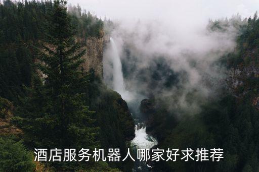 酒店機器人品牌排行，酒店迎賓機器人哪家的生產(chǎn)的比較好我們酒店想買一臺來招攬顧客有