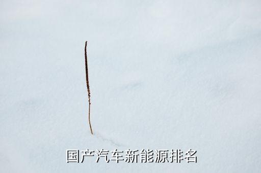 國內(nèi)最好的新能源汽車品牌有哪些，國產(chǎn)新能源汽車有什么牌子是比較好的