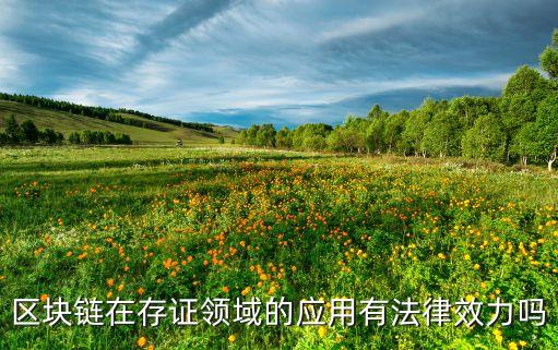 區(qū)塊鏈在存證領(lǐng)域的應(yīng)用有法律效力嗎