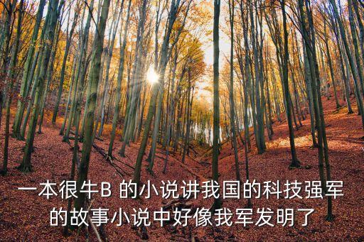 一本很牛B 的小說講我國的科技強軍的故事小說中好像我軍發(fā)明了