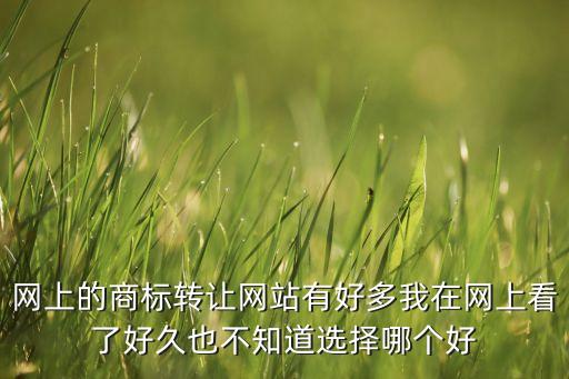 網(wǎng)上的商標(biāo)轉(zhuǎn)讓網(wǎng)站有好多我在網(wǎng)上看了好久也不知道選擇哪個(gè)好