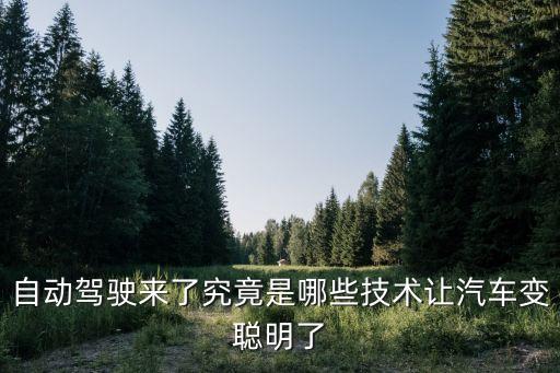科技智能自動駕駛技術(shù)有哪些，除了人工智能和無人駕駛技術(shù)中新智擎還有什么技術(shù)