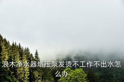浪木凈水器增壓泵發(fā)燙不工作不出水怎么辦