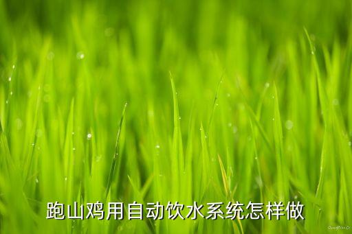 怎樣做自動飲水器，用裝滿水的瓶子做一個自動飲水機