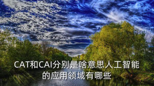 人工智能應(yīng)用領(lǐng)域有哪些英語(yǔ)，CAT和CAI分別是啥意思人工智能的應(yīng)用領(lǐng)域有哪些