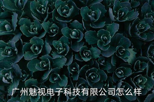 廣州魅視電子科技有限公司怎么樣