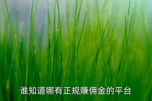 誰知道哪有正規(guī)賺傭金的平臺