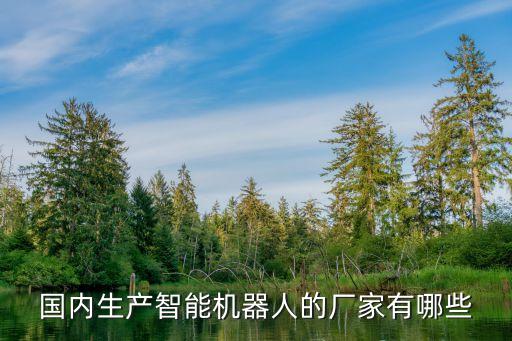 國(guó)內(nèi)生產(chǎn)智能機(jī)器人的廠家有哪些