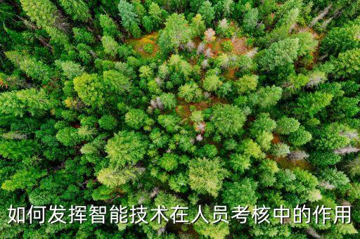 如何發(fā)揮智能技術(shù)在人員考核中的作用