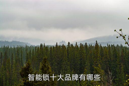 智能鎖十大品牌有哪些
