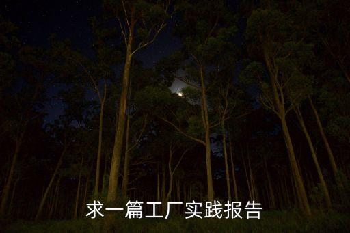 智能工廠實(shí)驗(yàn)報(bào)告，電子技術(shù)實(shí)驗(yàn)報(bào)告怎么寫