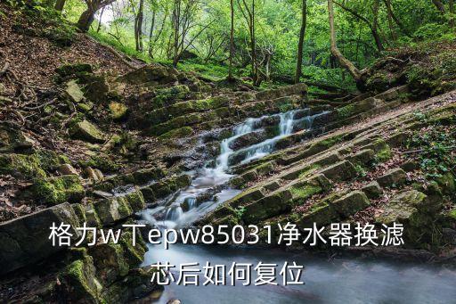 格力w丅epw85031凈水器換濾芯后如何復位