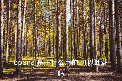 openai是干什么用的 可以卸載嗎