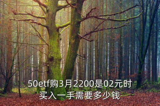 50etf購3月2200是02元時買入一手需要多少錢