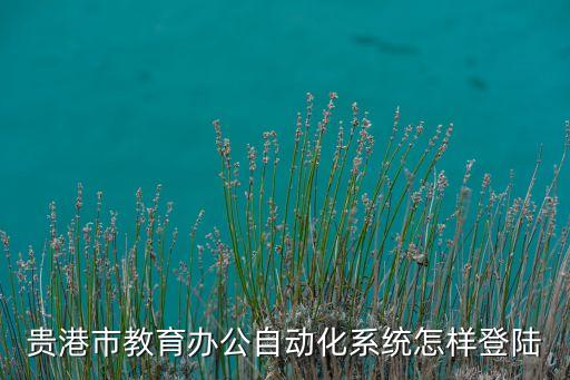 自動化作業(yè)系統(tǒng)登錄，貴港市教育辦公自動化系統(tǒng)怎樣登陸