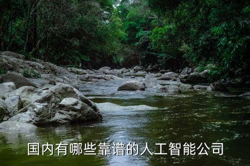 國內(nèi)有哪些靠譜的人工智能公司
