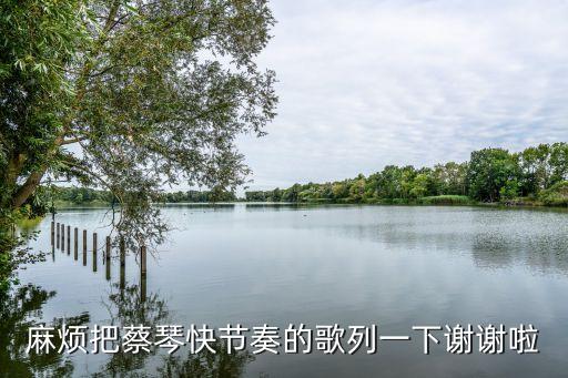 麻煩把蔡琴快節(jié)奏的歌列一下謝謝啦