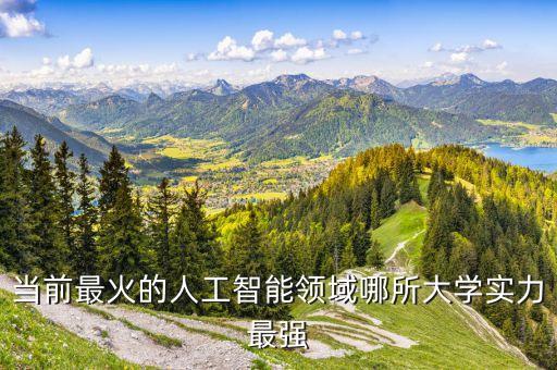 人工智能各高校排名，當(dāng)前最火的人工智能領(lǐng)域哪所大學(xué)實(shí)力最強(qiáng)