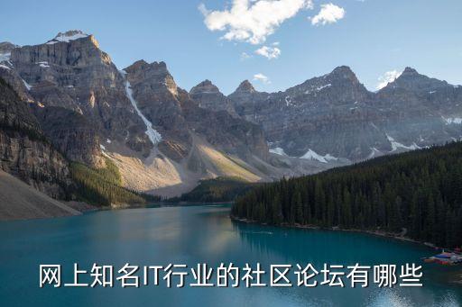 網(wǎng)上知名IT行業(yè)的社區(qū)論壇有哪些
